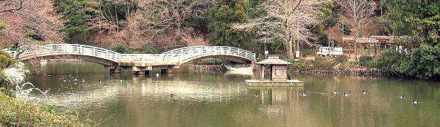 薬師池公園のメイン　たいこ橋