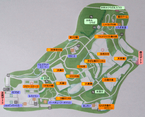 足利フラワーパーク内のマップ