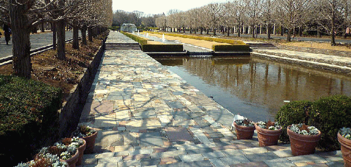 昭和記念公園の噴水の道カナール