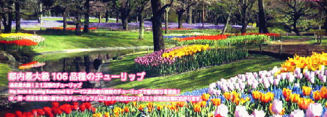 昭和記念公園のパンフレット内の写真